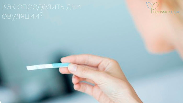 2 недели беременности покажет ли тест
