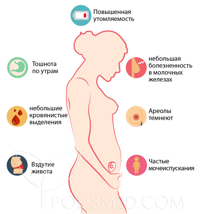 2 недели беременности покажет ли тест