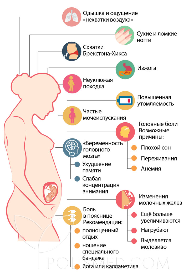 39 недель головные боли