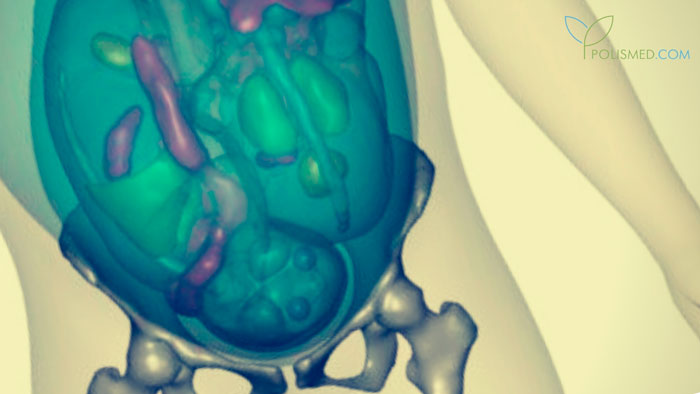 Беременность двойней