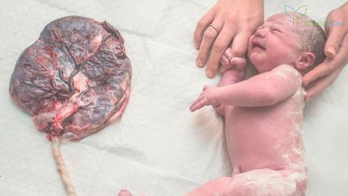 зрелость плаценты