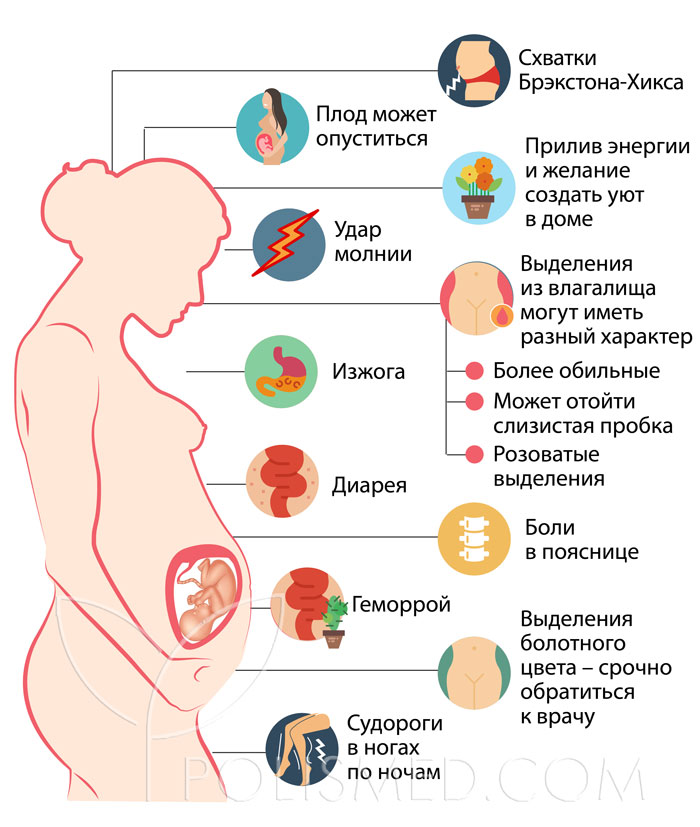 39 схватки нет