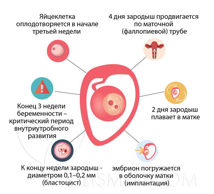 На третьей неделе беременности тест отрицательный На третьей неделе беременности тест отрицательный thumbnail