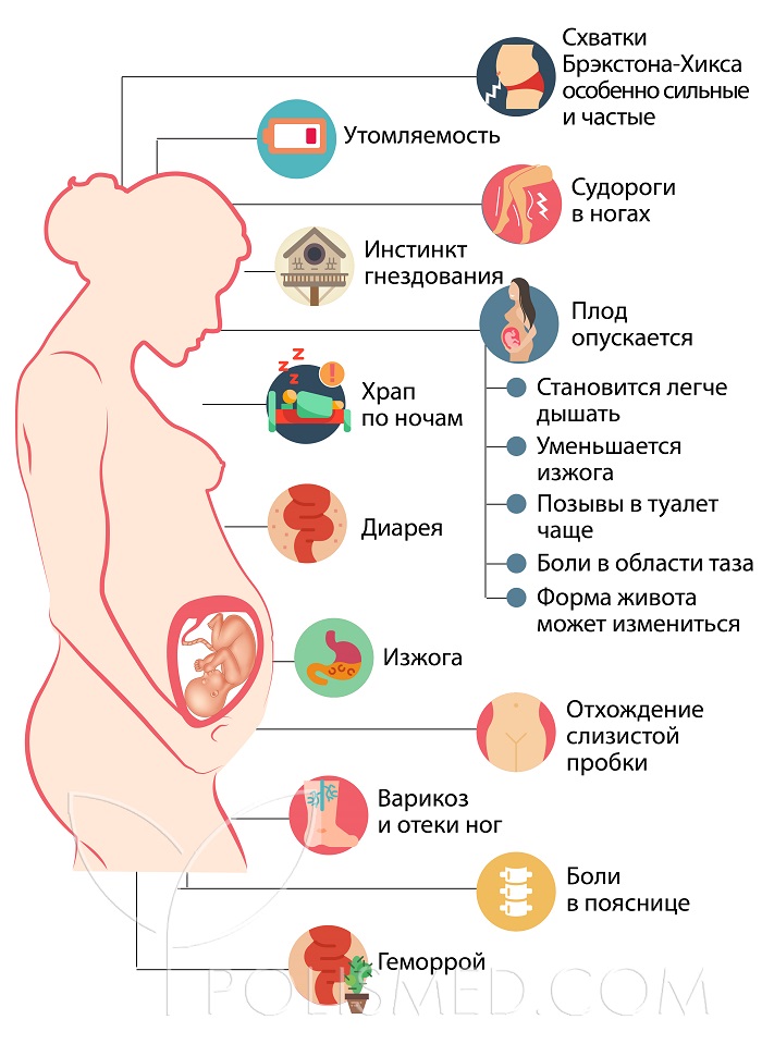 Признаки и симптомы 40 недели беременности