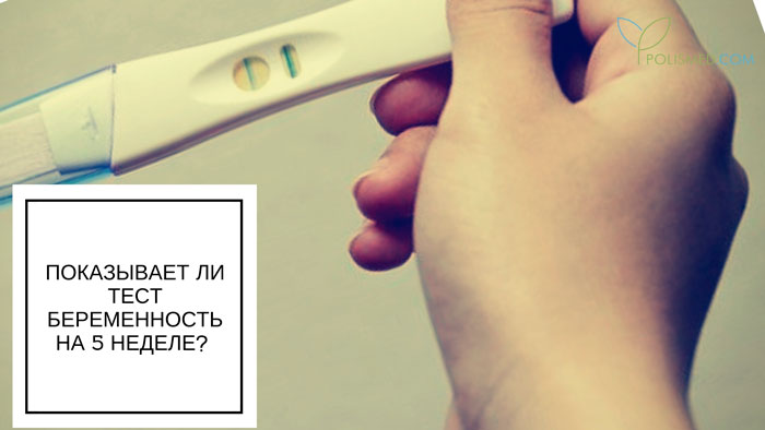 5 недель 5 дней беременности что происходит