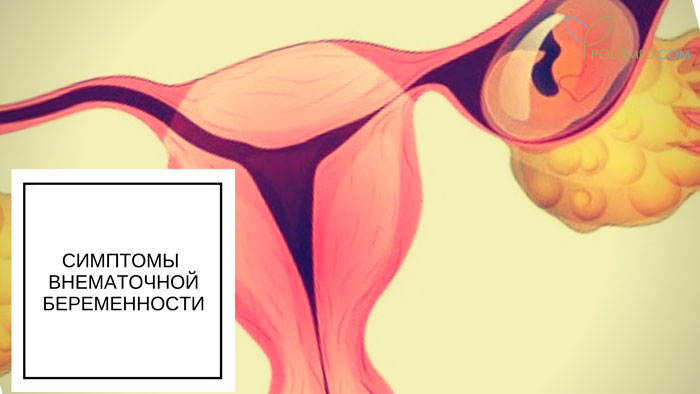5 недель 5 дней беременности что происходит