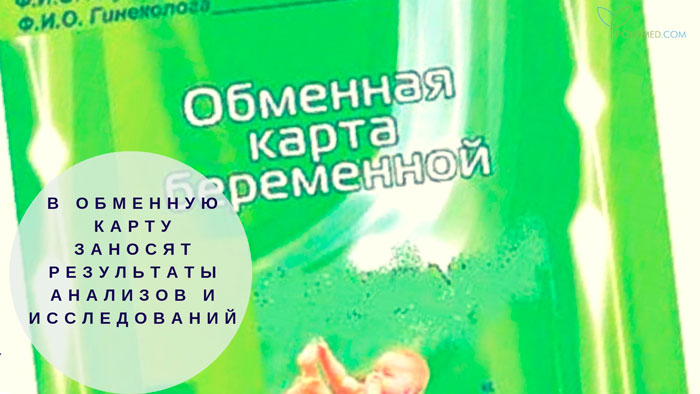 Размеры матки по узи на 7 неделе беременности
