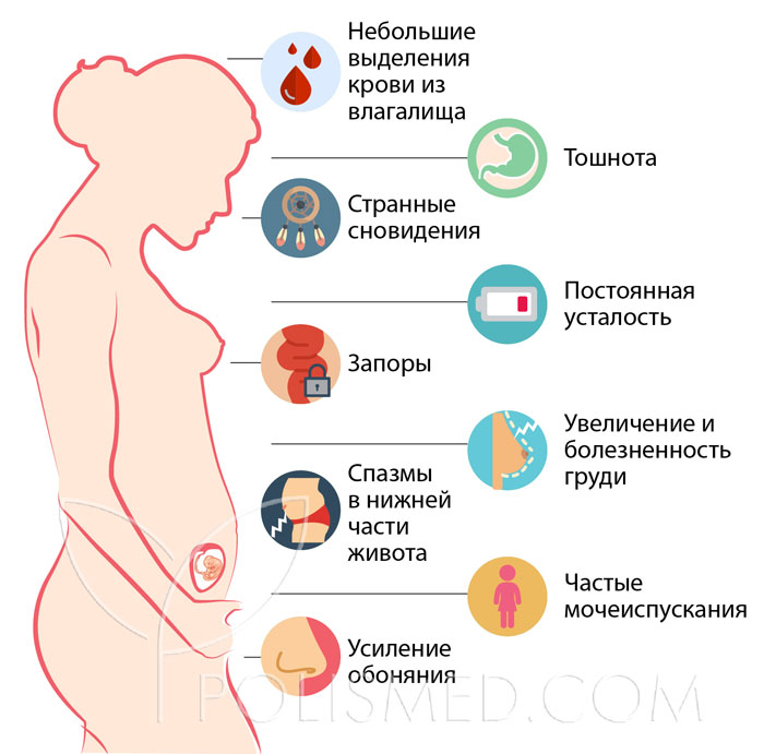 Может ли увеличиться живот на 8 неделе беременности
