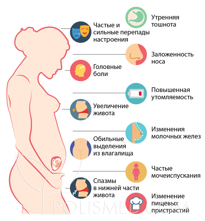 Девятая акушерская беременности что происходит. Смотреть фото Девятая акушерская беременности что происходит. Смотреть картинку Девятая акушерская беременности что происходит. Картинка про Девятая акушерская беременности что происходит. Фото Девятая акушерская беременности что происходит