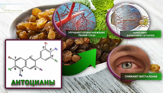 антоцианы