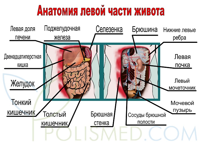 Боль в животе