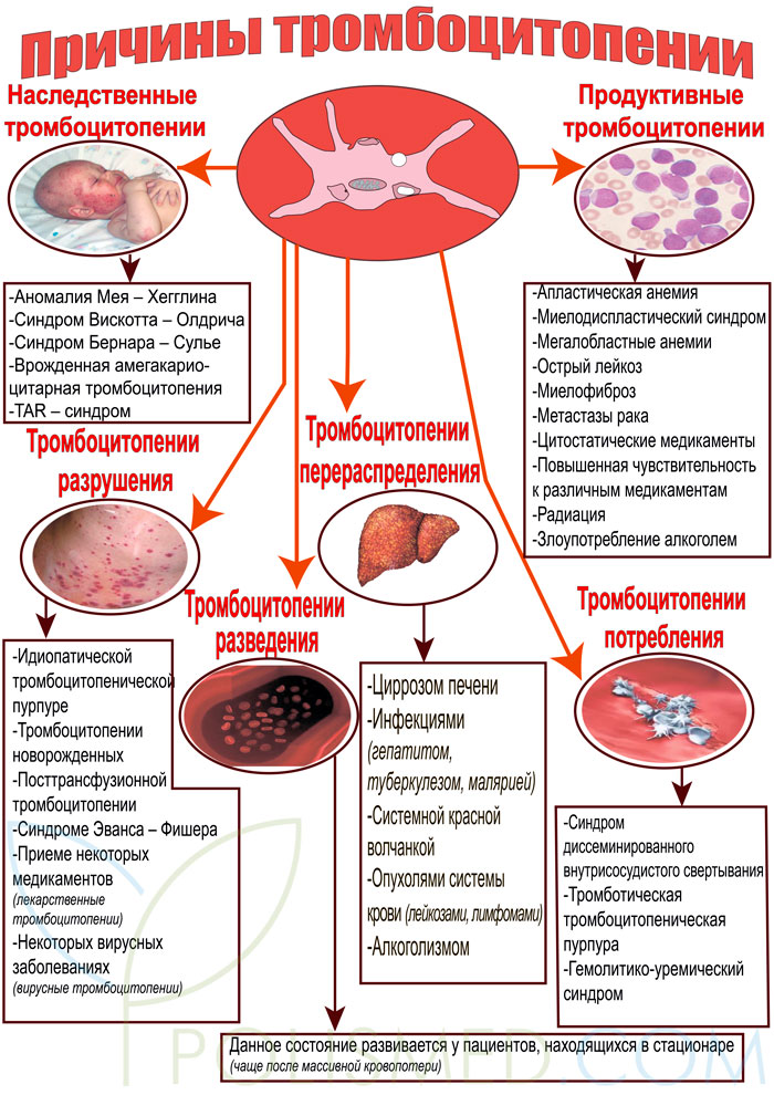 Почему снижаются тромбоциты. Тромбоцитопения при инфекциях. Причины повышения и понижения тромбоцитов. Тромбоцитопеническая пурпура уровень тромбоцитов. Бессимптомная тромбоцитопения.