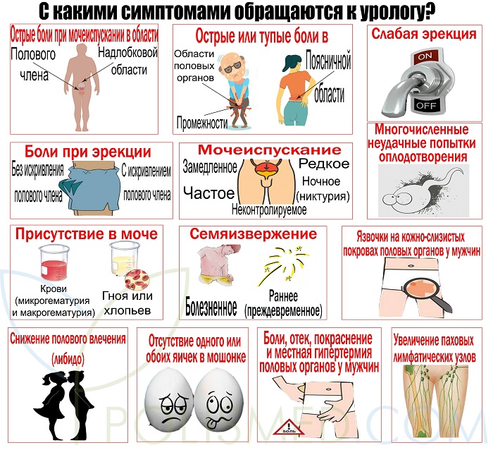 Урология что за врач. Смотреть фото Урология что за врач. Смотреть картинку Урология что за врач. Картинка про Урология что за врач. Фото Урология что за врач
