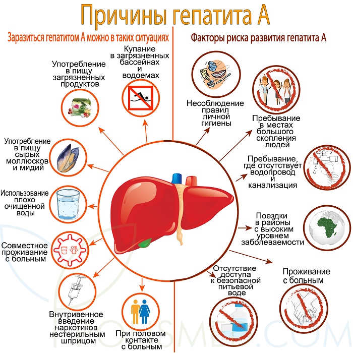 Причины гепатита А