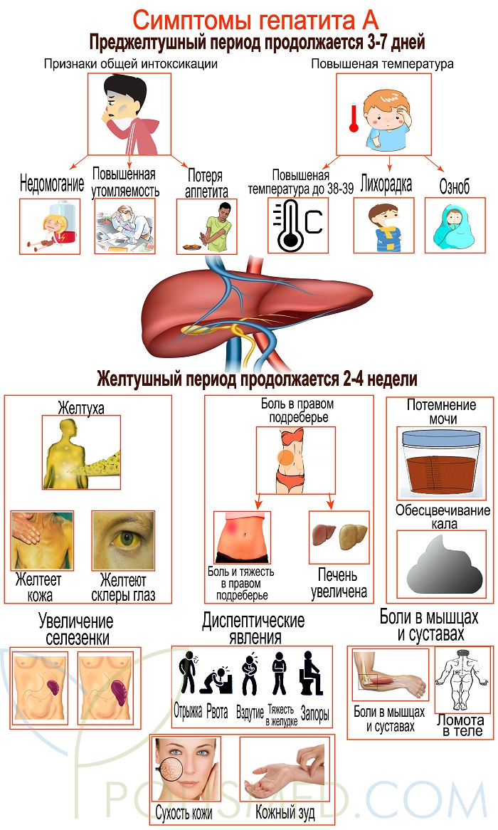 Гепатит а симптомы и лечение thumbnail