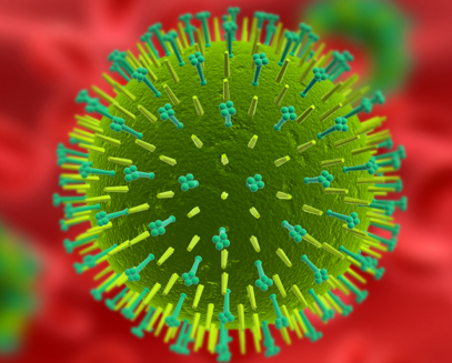 Методы исследования вирусных гепатитов