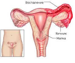 Анализ крови на эстрадиол и прогестерон что это