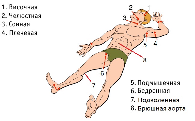 Остановки кровотечения в схемах