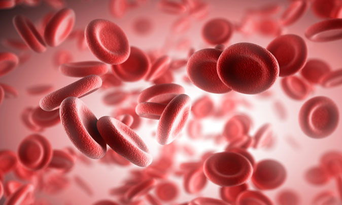 Общий анализ крови у детей: особенности проведения и расшифровка результатов thumbnail