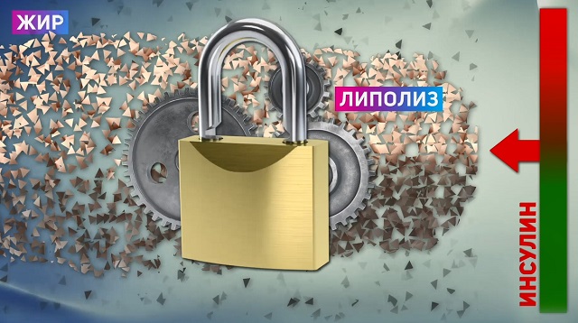 инсулин блокирует жировой обмен