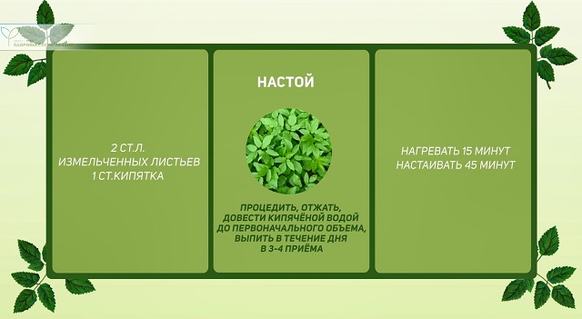 Настой из сныти