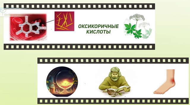 здоровые суставы