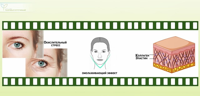 здоровая кожа