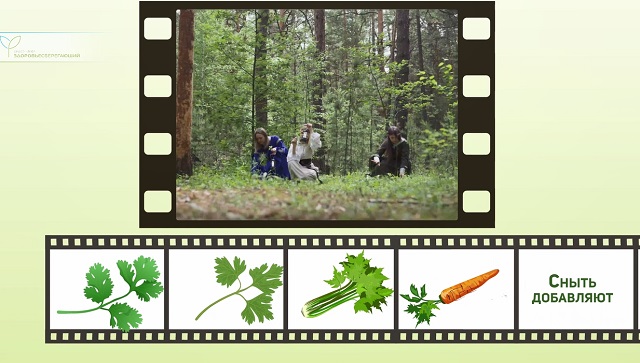 Дожить до Сныти