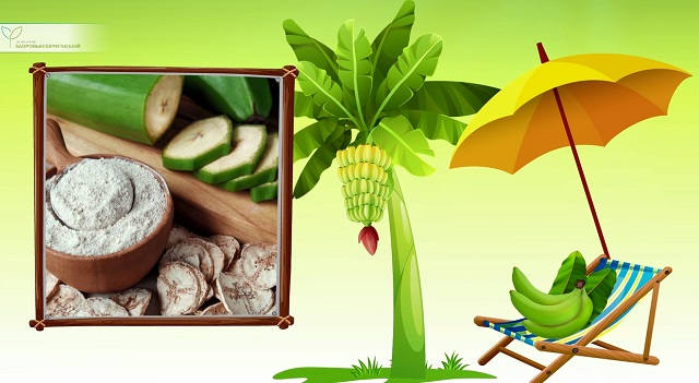 Зелёные бананы