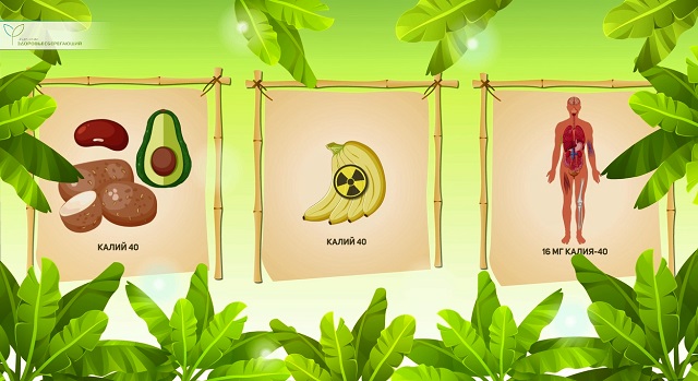 Радиоактивность бананов
