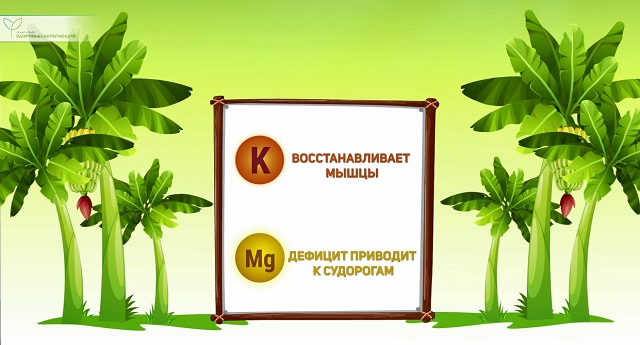 Бананы дают силу и энергию