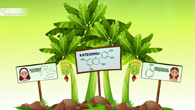 Омоложение