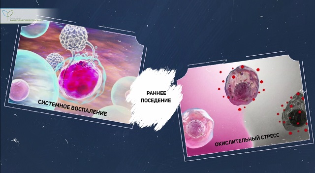 Хронические болезни