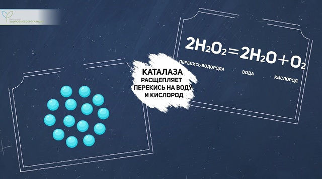 Перекись водорода в клетках фоликул