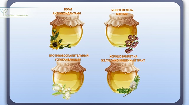 виды меда