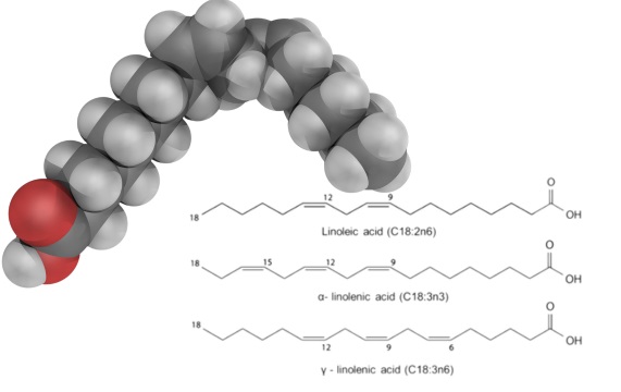Линолевая кислота