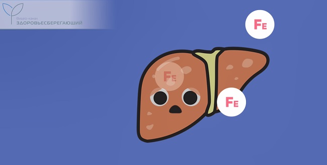 Излишки железа вредят печени