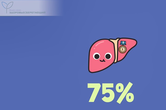 высокая жизнеспособность печени