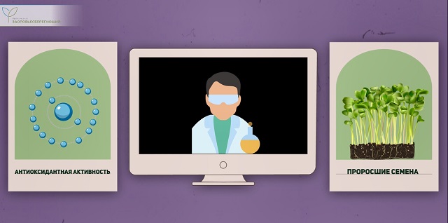 проросшие семена расторопши