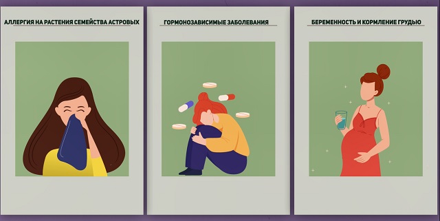 противопоказания к расторопше