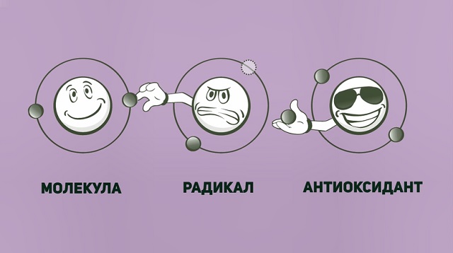 как работают антиоксиданты