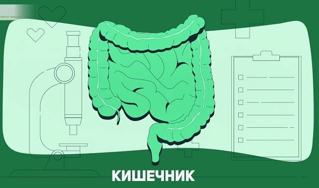 кишечник