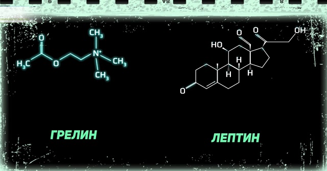 чувство голода