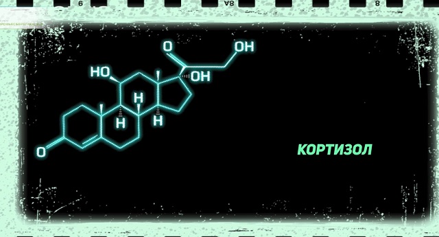 гормон стресса