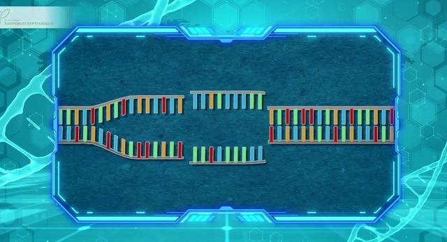 молекулярные ножницы