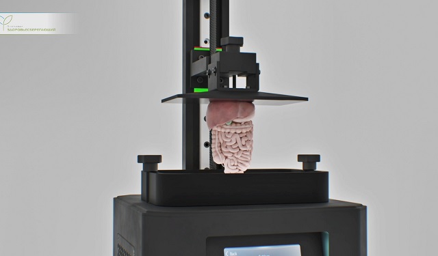 печать органов на принтере