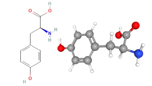 Молекула тирозина