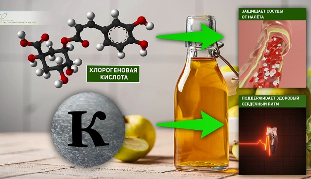 Защита сердца