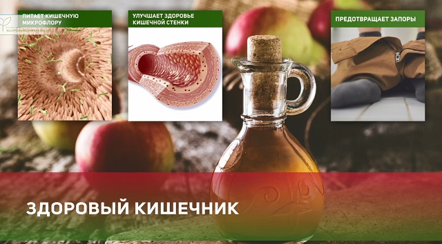 здоровый кишечник