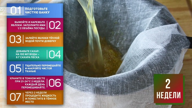 Рецепт яблочного уксуса